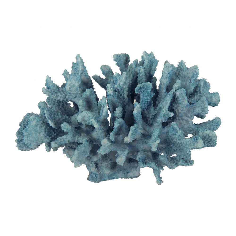 Pax Coastal Coral Decor - Powder Blue Polyresin Tabletop Accent, 10 Inch
