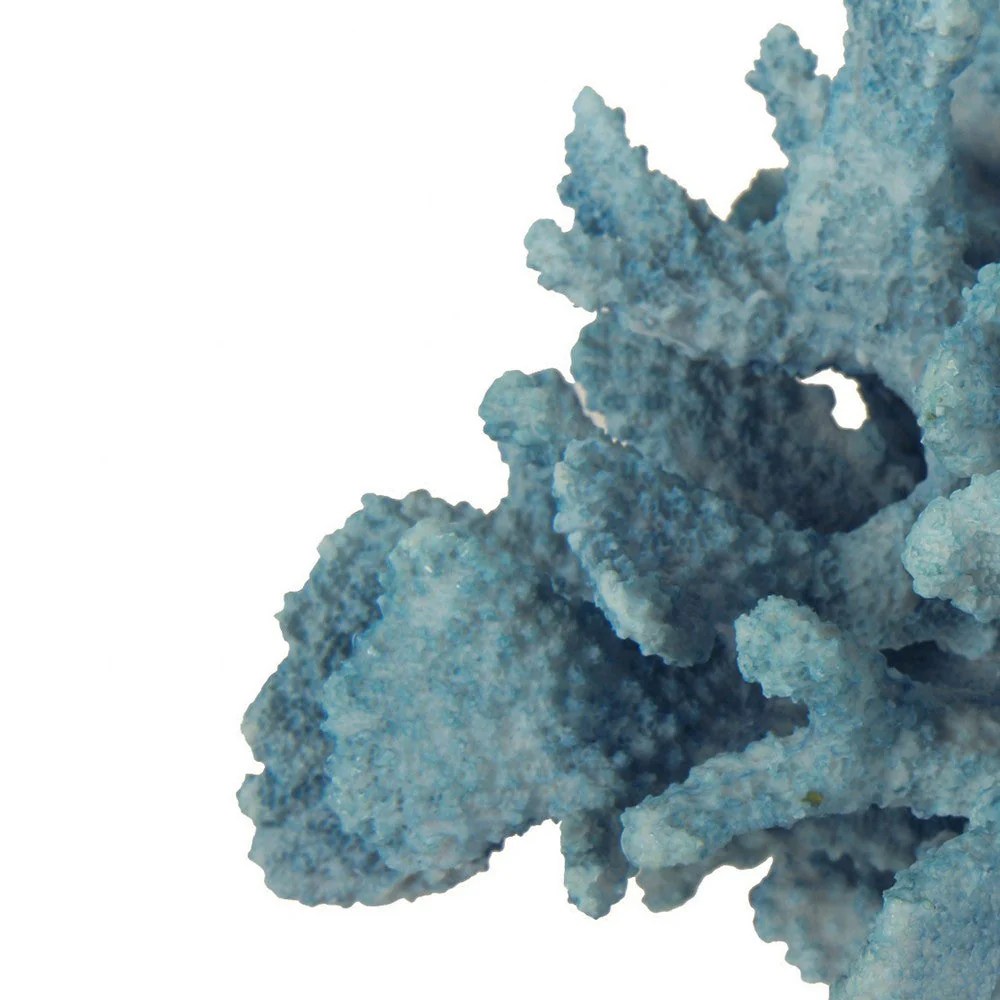 Pax Coastal Coral Decor - Powder Blue Polyresin Tabletop Accent, 10 Inch