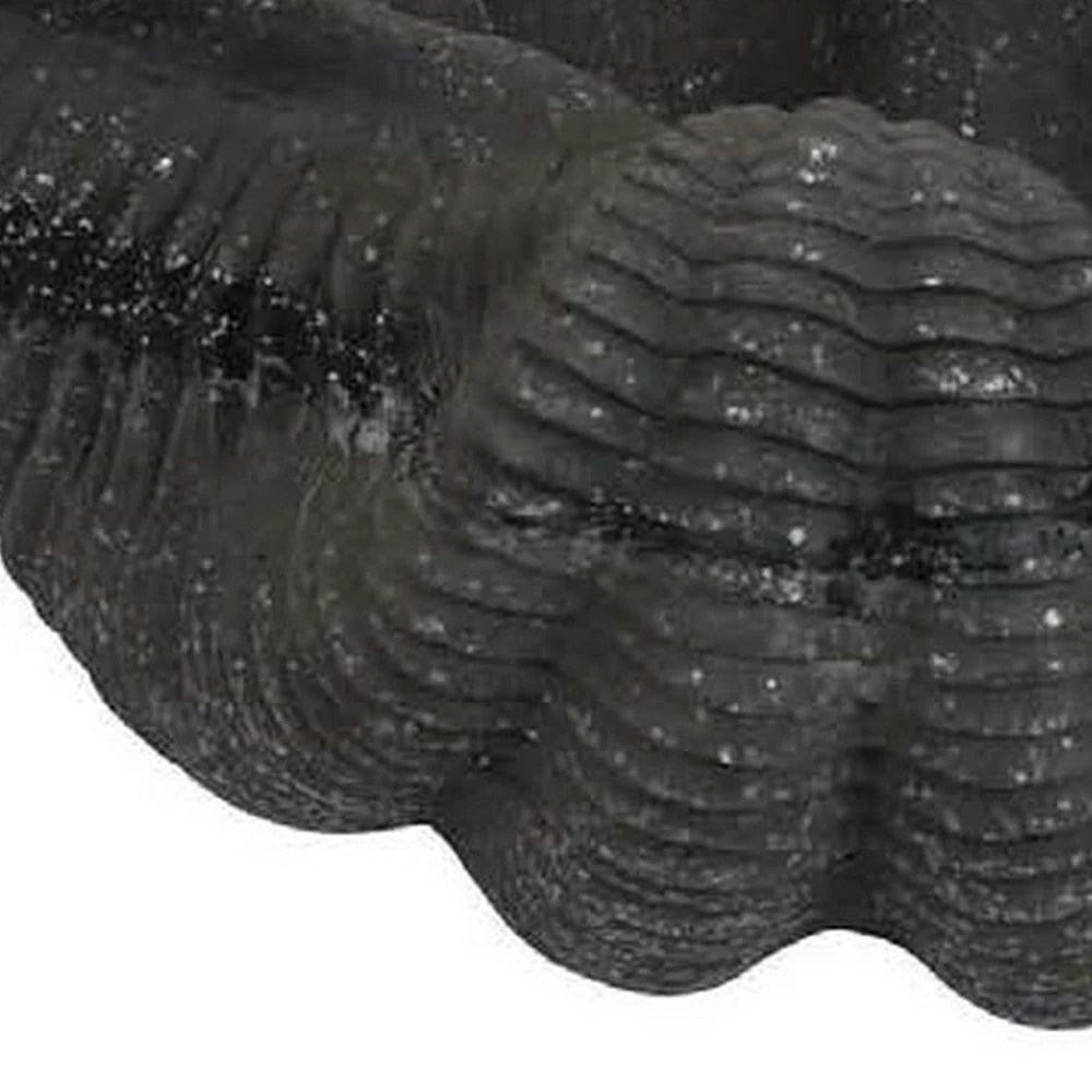 17" Black Resin Shell Figurine - Modern Decorative Shell, Textured, Curved, Home Decor Accent
