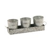 Galvanized Metal Planter Set with Tray - 3 Round Pots, Indoor/Outdoor, Gray, 17" Tray