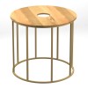 19" Round Mango Wood Side Table, Brass Frame