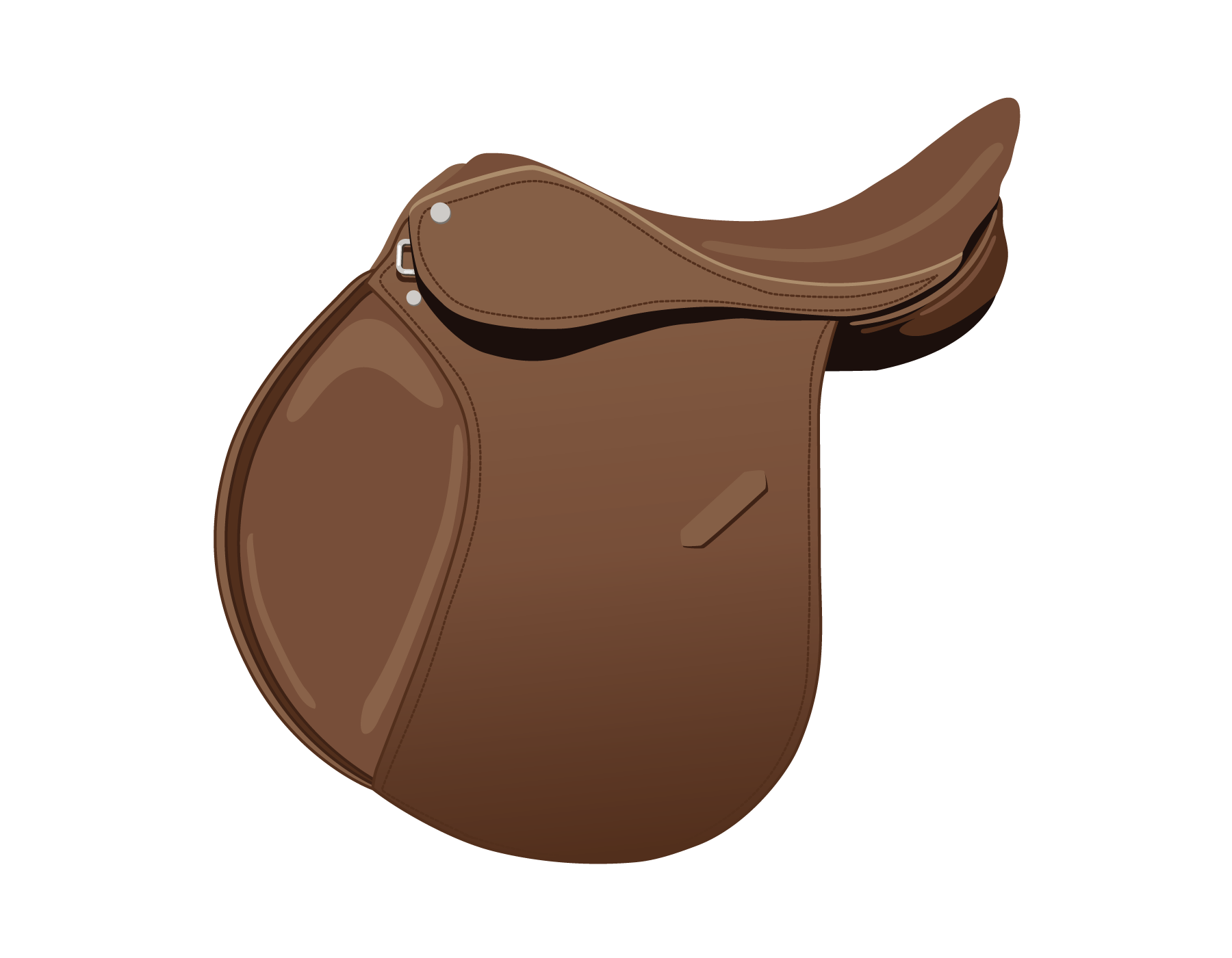 identify-horse-saddle-types-play-the-name-the-saddle-parts-game