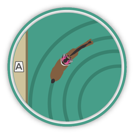 Riding Arena Terms Quiz