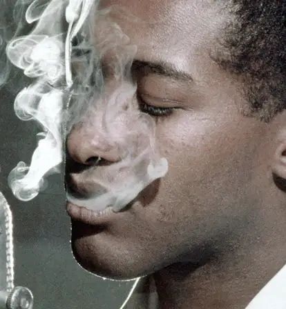 Sam Cooke S Death - Modern Nature Illustration - High Resolution