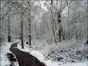 snowpath