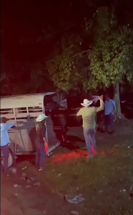Con credencialización, touroperadoras de Zacatlán ofrecen seguridad y calidad a turistas 13 hombre golpea a un caballo en Bacalar