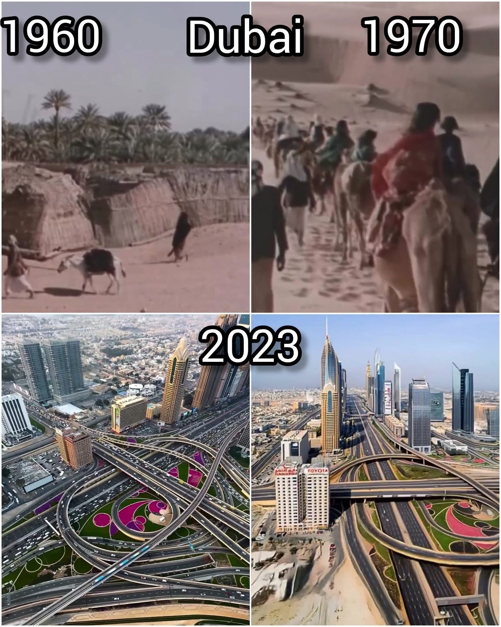 صحيفة البيان الاماراتية ترد على الجزائر