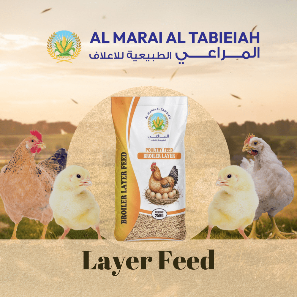 Layer Feed