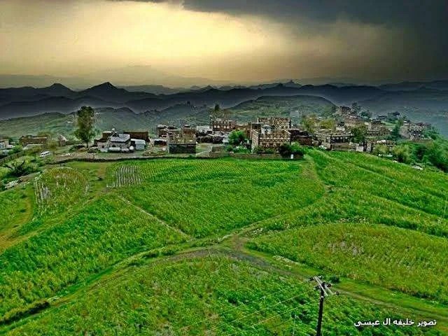 جريمة بشعة.. أشقاء يهشمون رأس بائع متجول ويعتدون على والدته