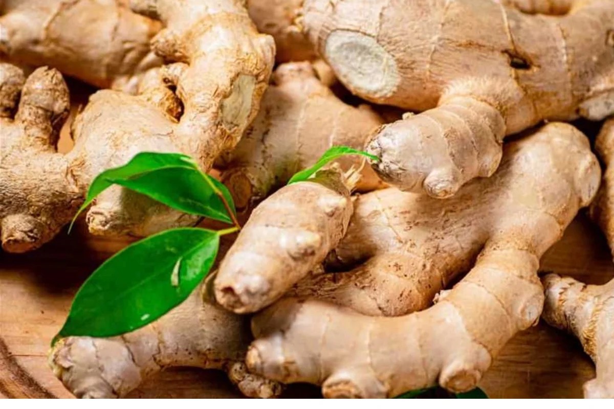 أعشاب تقلل من السكر في الدم والسكر التراكمي.. مفعولها زي السحر