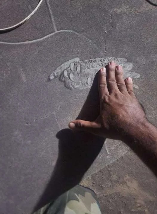 تحذيرات عاجلة في عدن: مركز الطوارئ يوصي بإغلاق المنازل وتعليق الدراسة