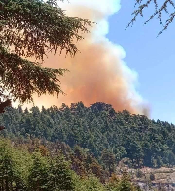 حريق مهول يهز دوار بني بوخلف ويستنفر السلطات بالنكور