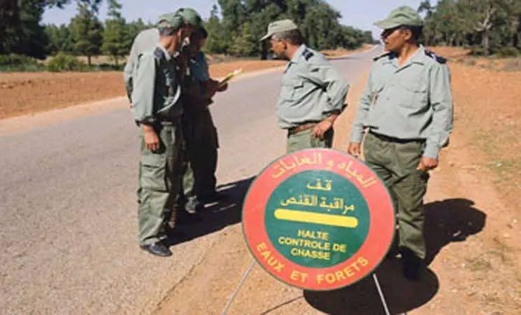جدل قانوني واجتماعي حول الملك الغابوي بدوار ثلاث نترامت بسيدي إفني
