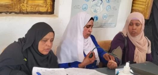 محافظ أسوان يتابع نتائج القافلة الطبية بقرية الطويسة بدراو لتوفير الخدمة العلاجية لـ 929 مواطن ومواطنة