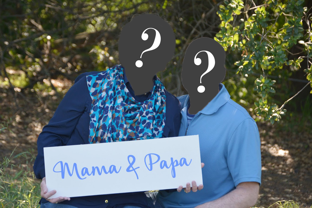 Disclaimer of Ignorance