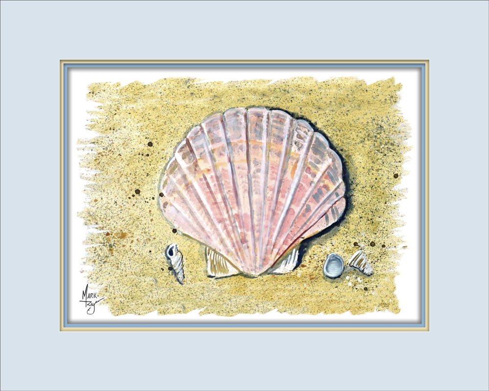 Scallop Sea Shell