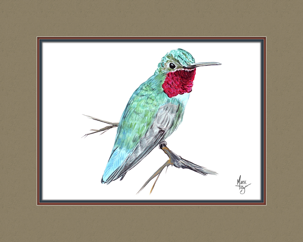 Hummingbird