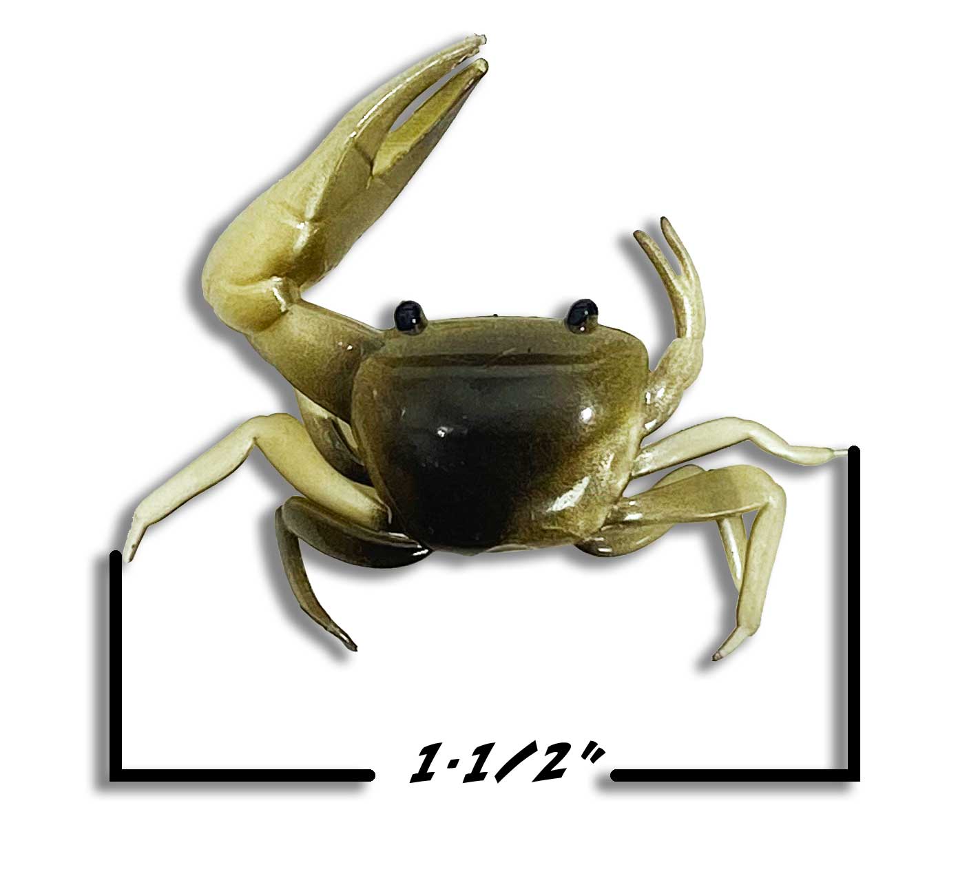 fiddler crab fishing lure Sight Cast Freeport – Space Coast Flies you can even use the Yummee Fiddler Crab for largemouth when fishing coastal rivers Fiddler Crab fly for saltwater
