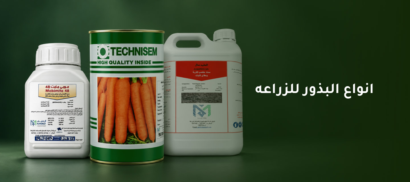 تعرف علي انواع البذور للزراعه في السعودية ونصائح للإختيار