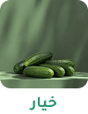 Frame 2147223868