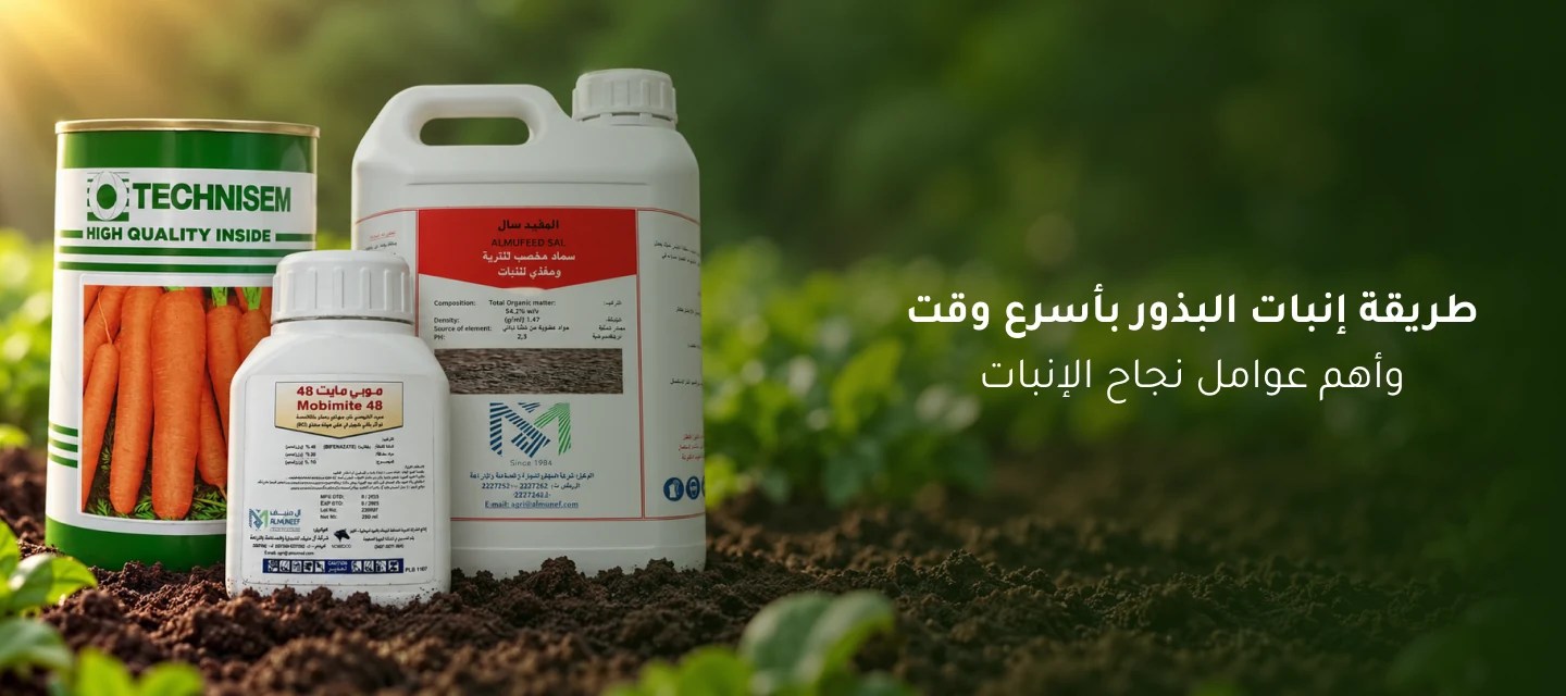 طريقة إنبات البذور بأسرع وقت وأهم عوامل نجاح الإنبات