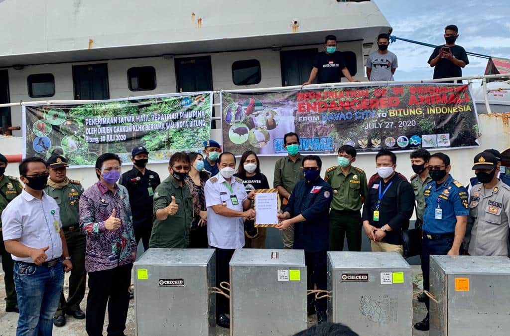 Read more about the article 91 Satwa Endemik Indonesia Dipulangkan dari Filipina