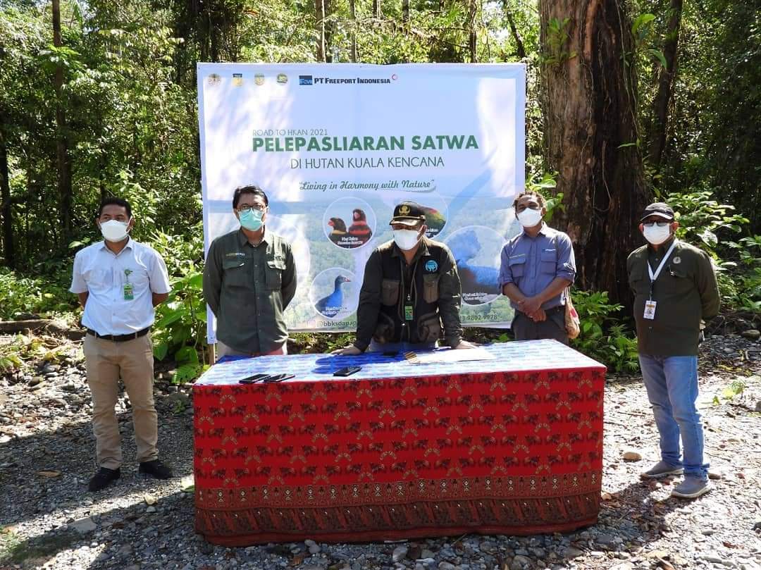 Read more about the article BBKSDA Papua Melepasliarkan 17 Ekor Satwa Endemik Papua Ke Alamliar.