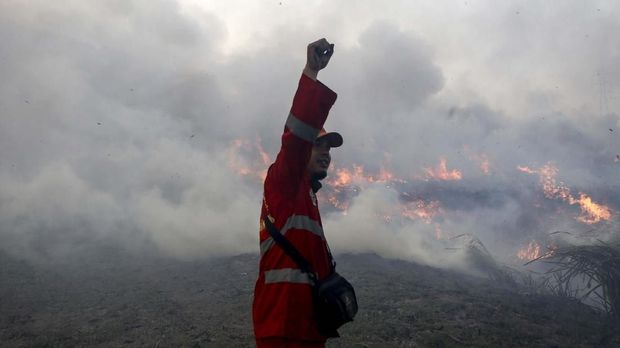 Read more about the article Perusakan Hutan Jadi Sumber Penyakit Hingga Pandemi