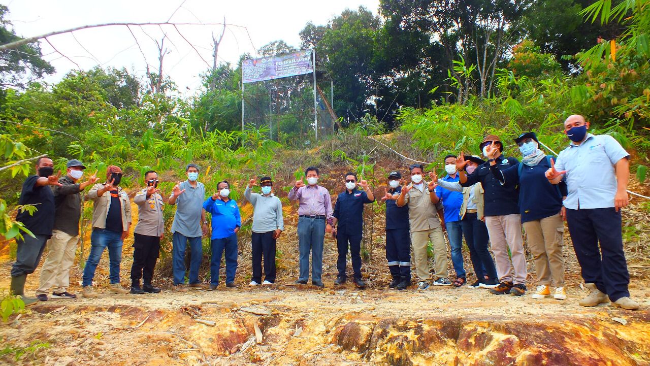 Read more about the article Lagi, Sinergi BKSDA SUMSEL Dengan Para Pihak Lepasliarkan Musang Pandan dan Elang Brontok dan 500 Ikan Lokal Bangka ke Tahura Gunung Menumbing Kabupaten Bangka Barat
