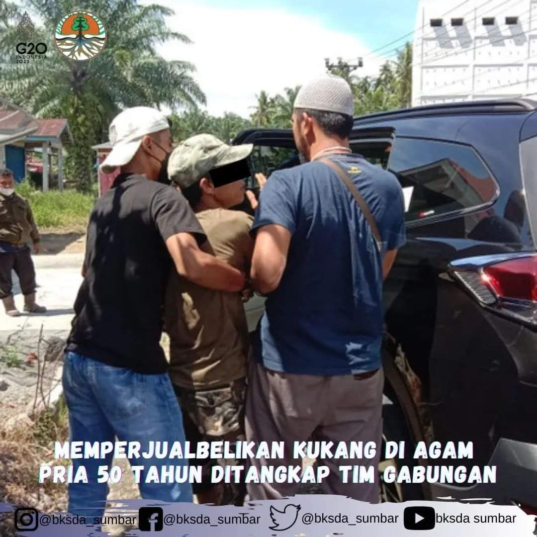 Read more about the article Memperjualbelikan Kukang Di Agam Pria 50 Tahun Ditangkap Tim Gabungan