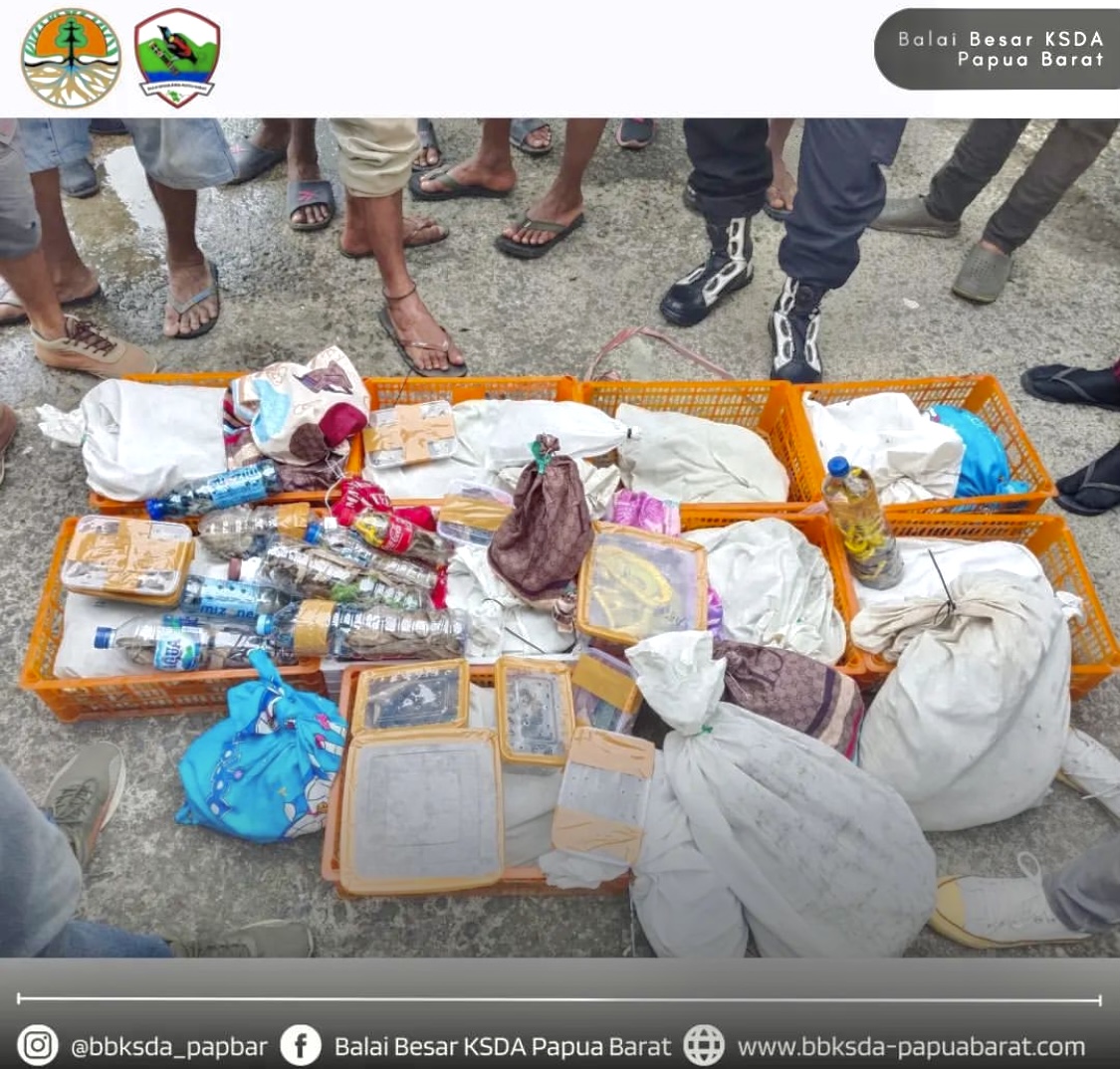 Read more about the article Dibungkus Plastik, Ratusan Satwa Liar Gagal Diselundupkan