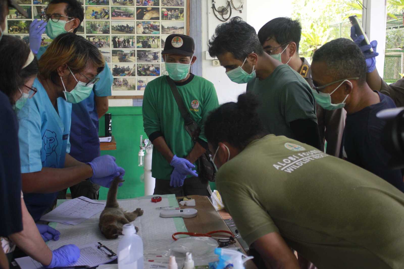 Read more about the article Kolaborasi Pelatihan Peningkatan Kapasitas dalam Medis Satwaliar di Lembaga Konservasi Khusus, BKSDA Sumsel, Aspinal Foundation, Yayasan IAR Indonesia, Alobi Foundation