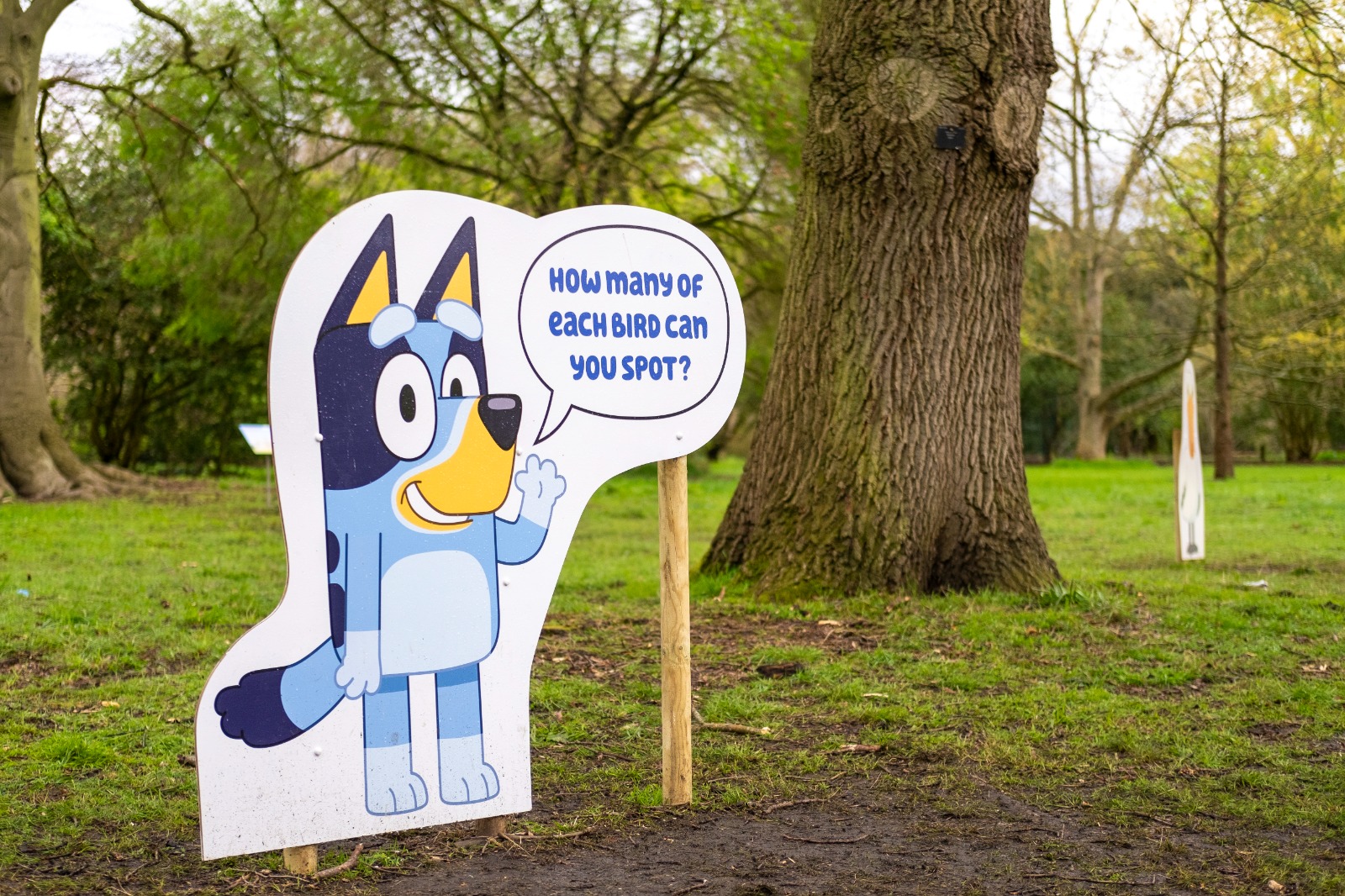 תערוכת “בלואי” בקיו גארדנס