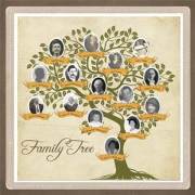 Family Tree