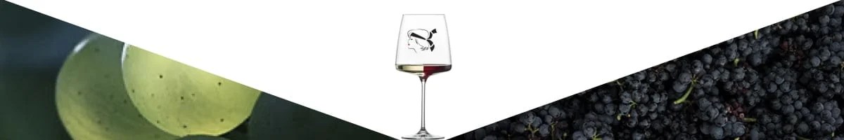 degustation-le-goût-du-vin-corse-alpa