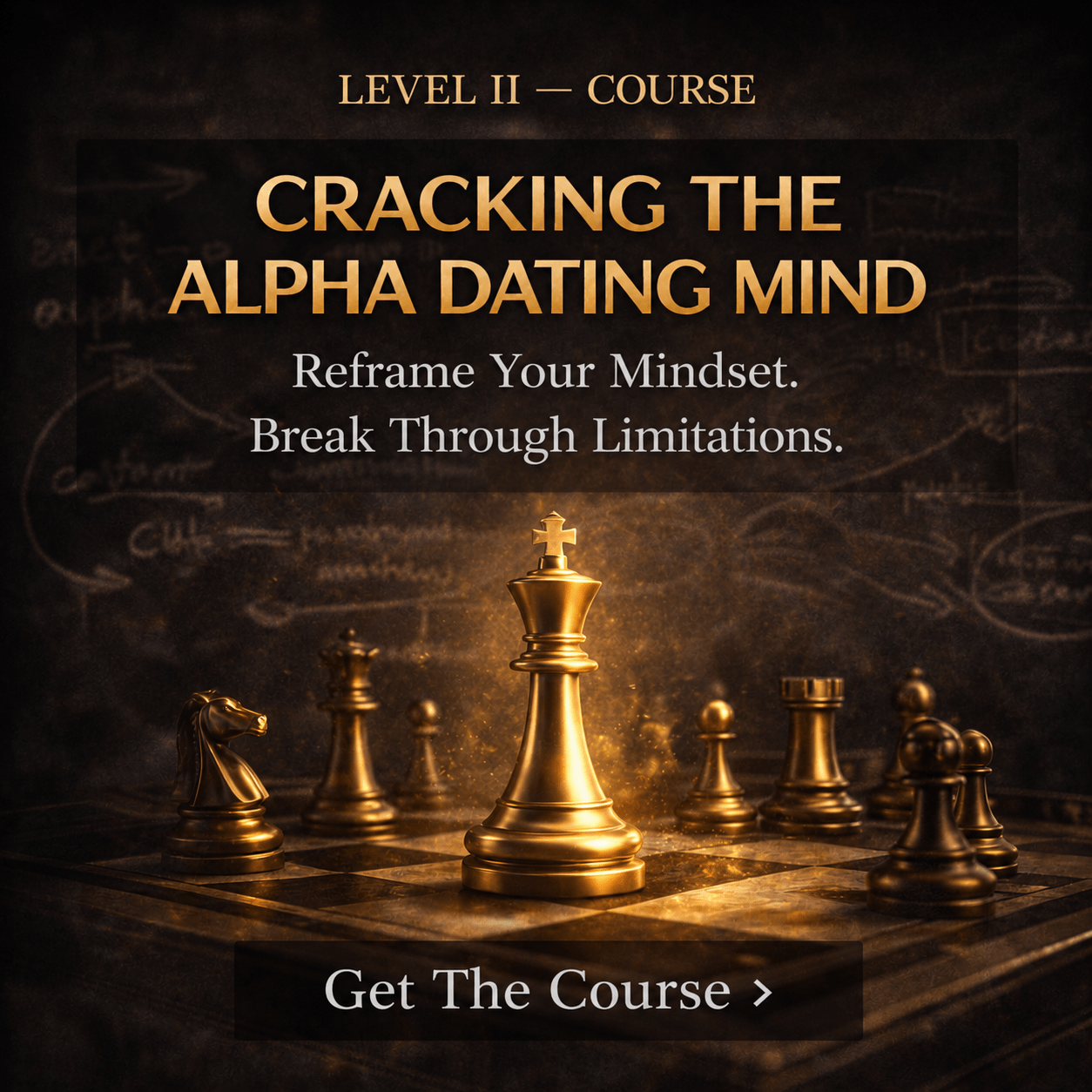 Video Course