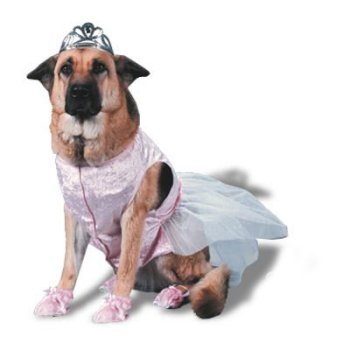 Costumes For Pets Alpha Mom