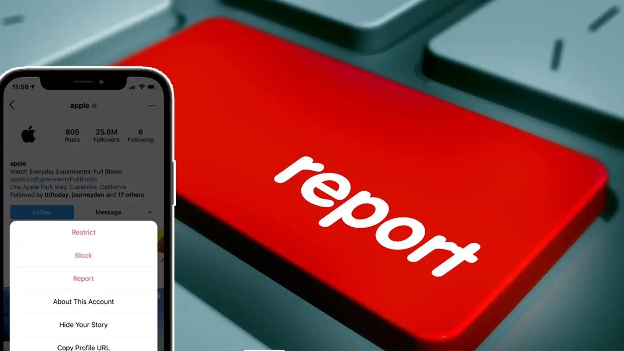 how do you know if you've been reported on instagram