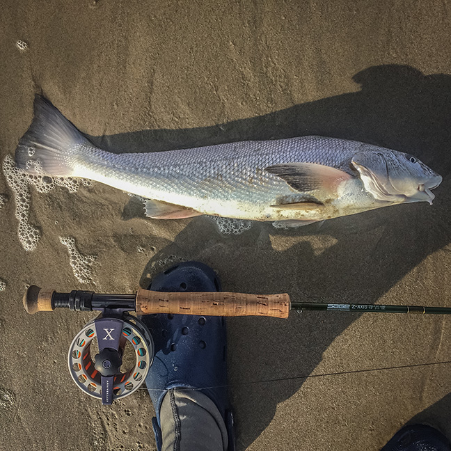 Al Q nails a piggy. photo by Al Q