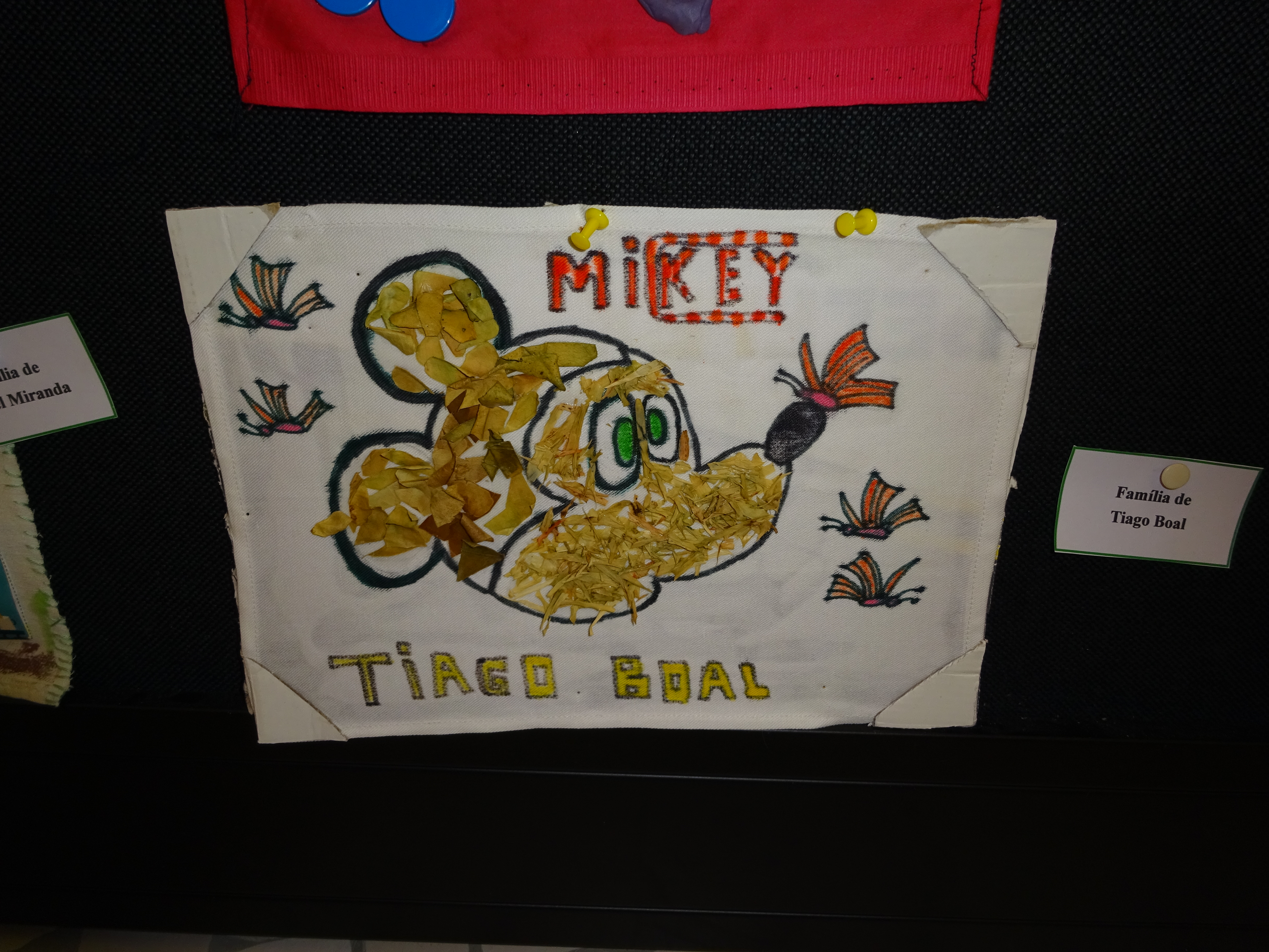 Exposição Tiago Boal