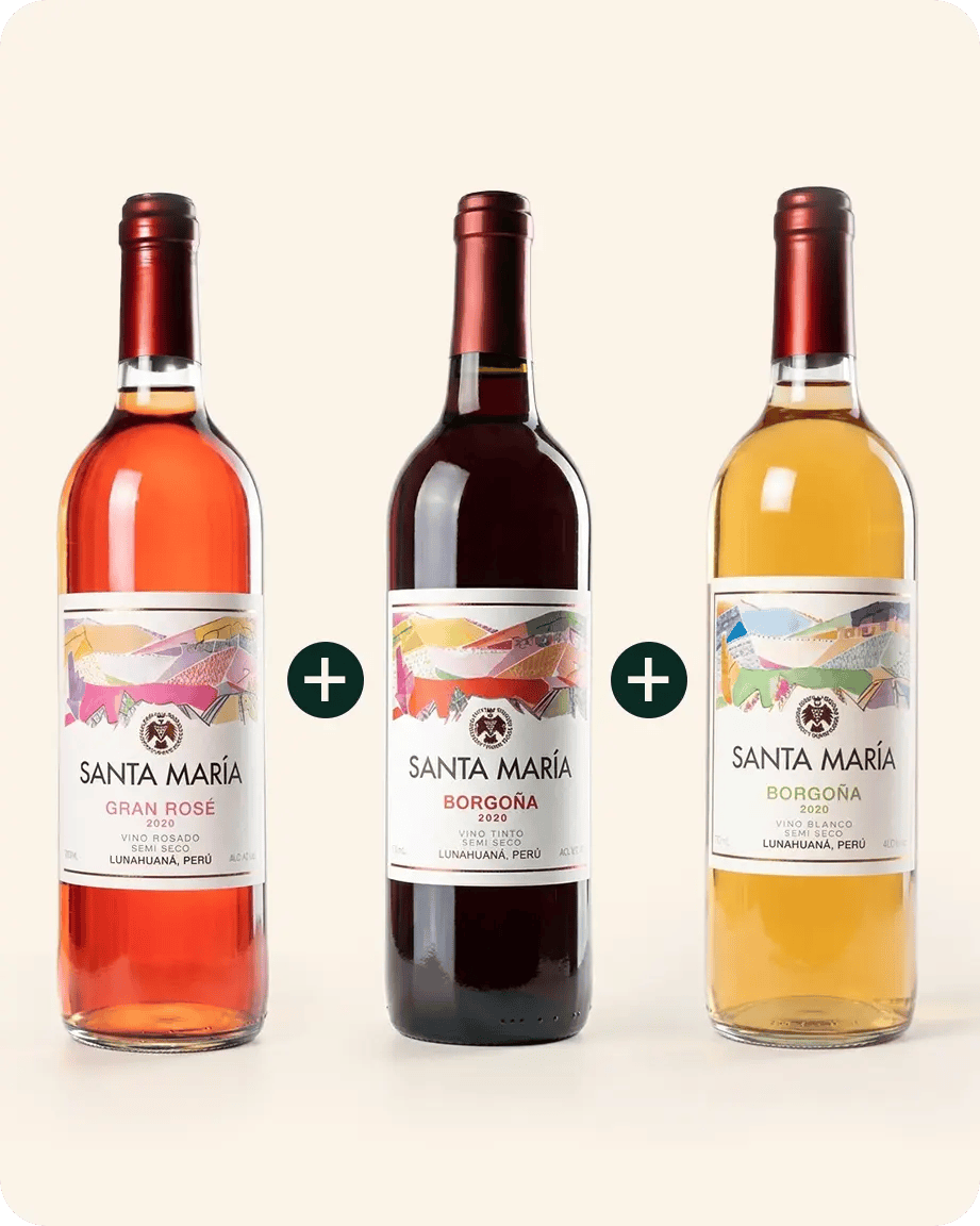 PROMO 3VINOS SM