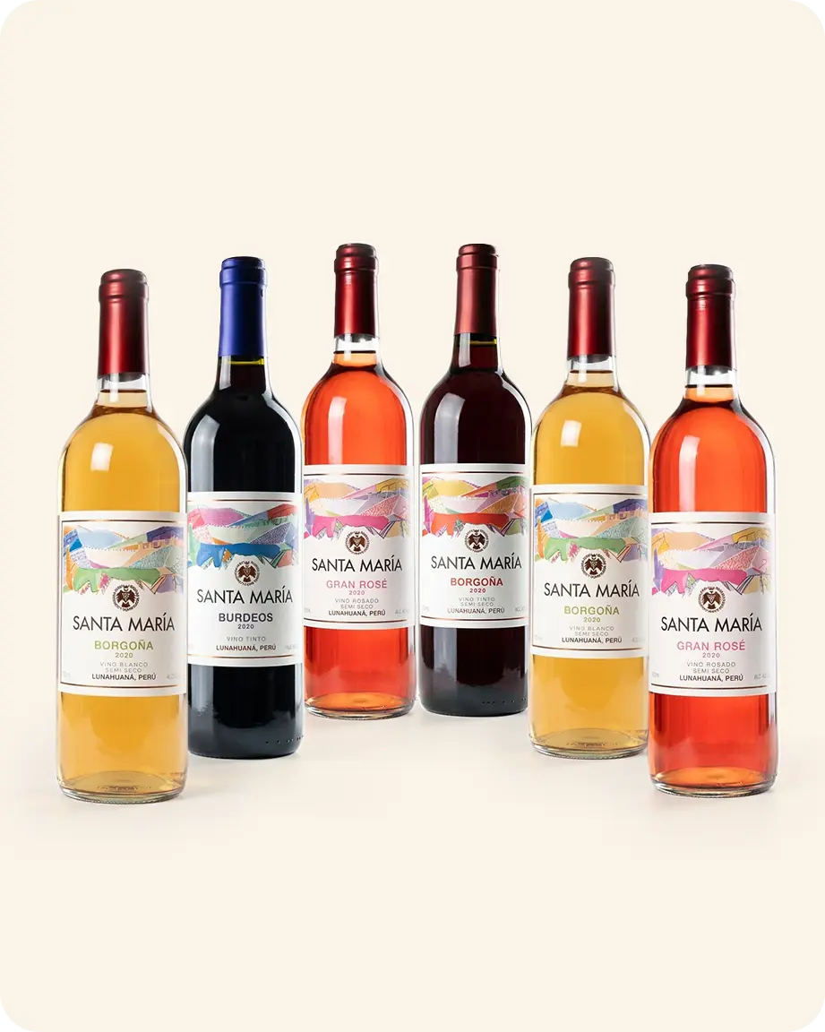 PROMO 6VINOS SM