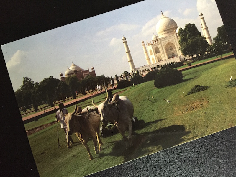 Postcard of the Week Taj Mahal, Agra (Indien)