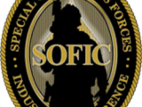Sofic Logo Altimeter Solutions