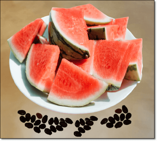 수박씨 효능