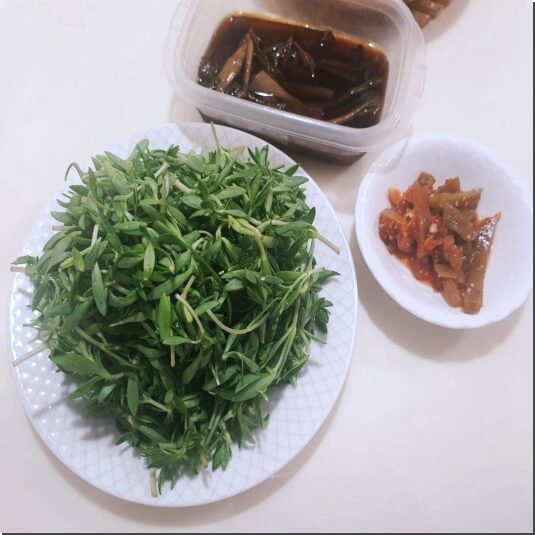 돗나물 효능 및 영양성분 먹는 법과 주의점
