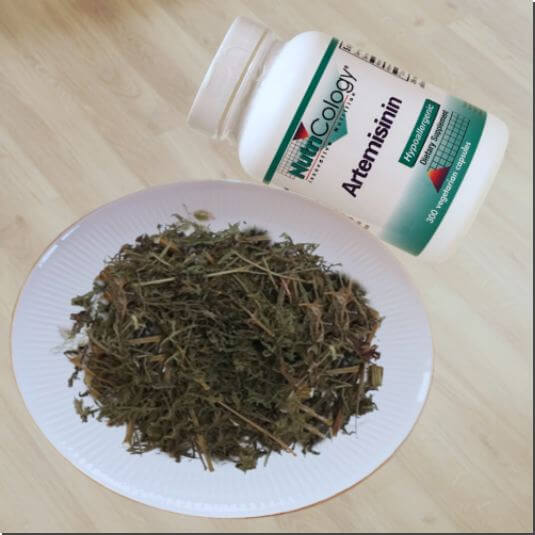 아르테미시닌 효능 및 많은 음식과 섭취량 주의점