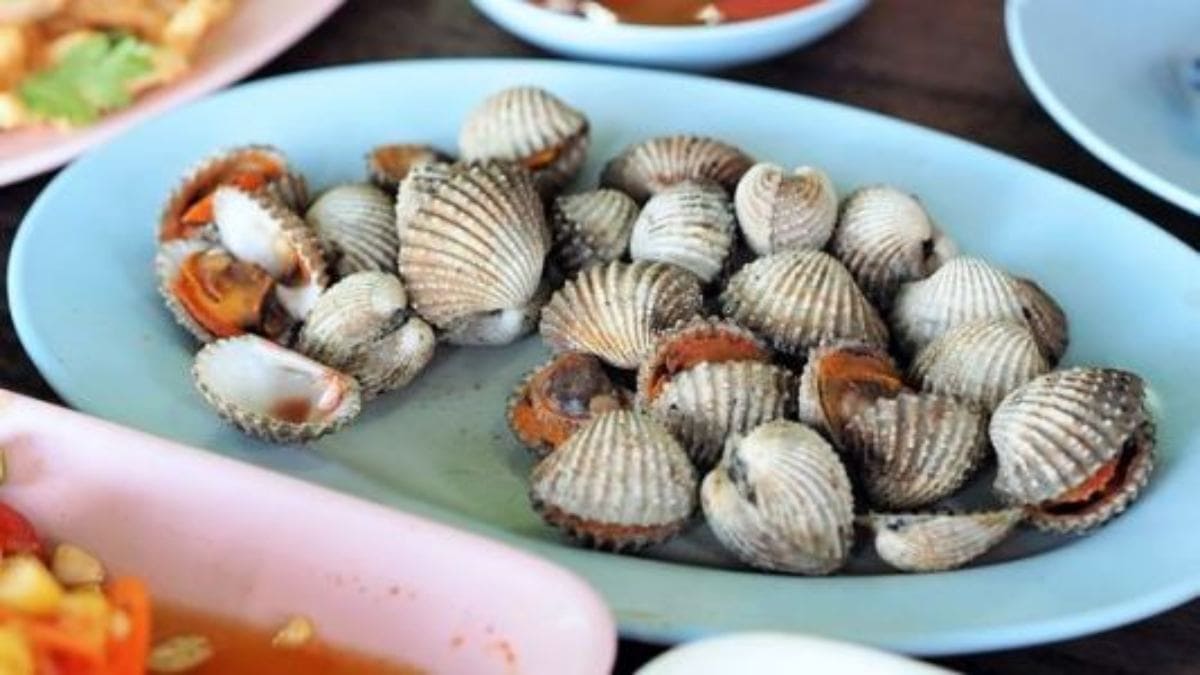 피꼬막 효능 및 영양소 먹는 법과 주의점