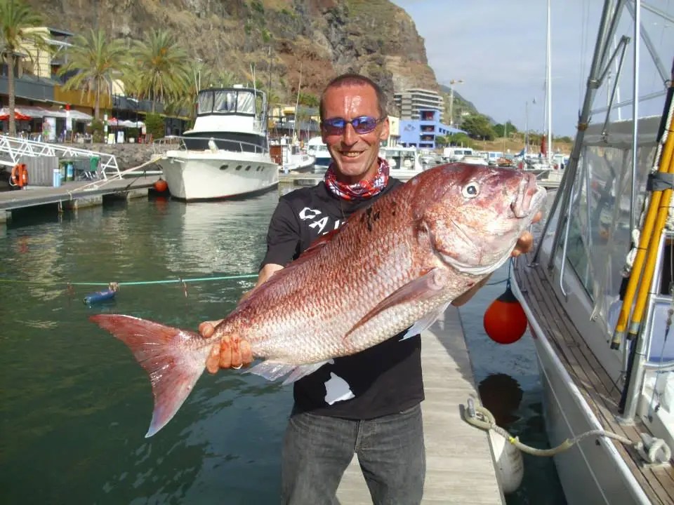 Andy Scott - The Founder Of AlucoLures