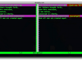 Use Vimdiff To See The Difference Between Multiple Files